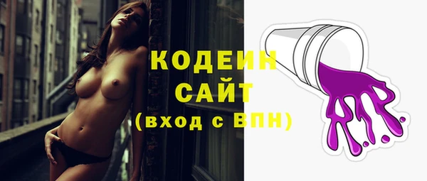 шишки Балахна