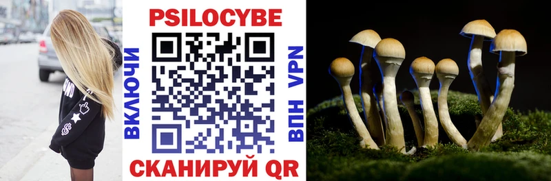 как найти   Куртамыш  Галлюциногенные грибы Magic Shrooms 